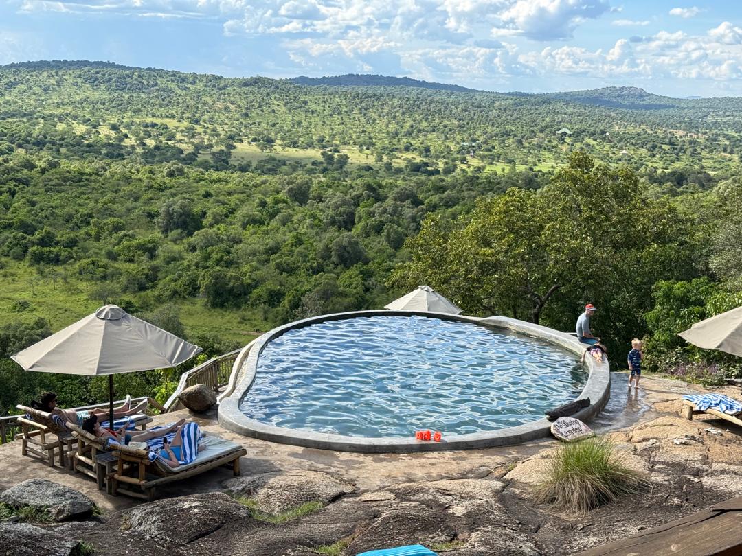 Safari lodge pool above the bush