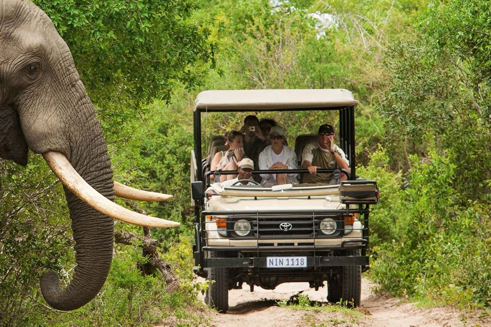 Safari vehicle watching an elephant