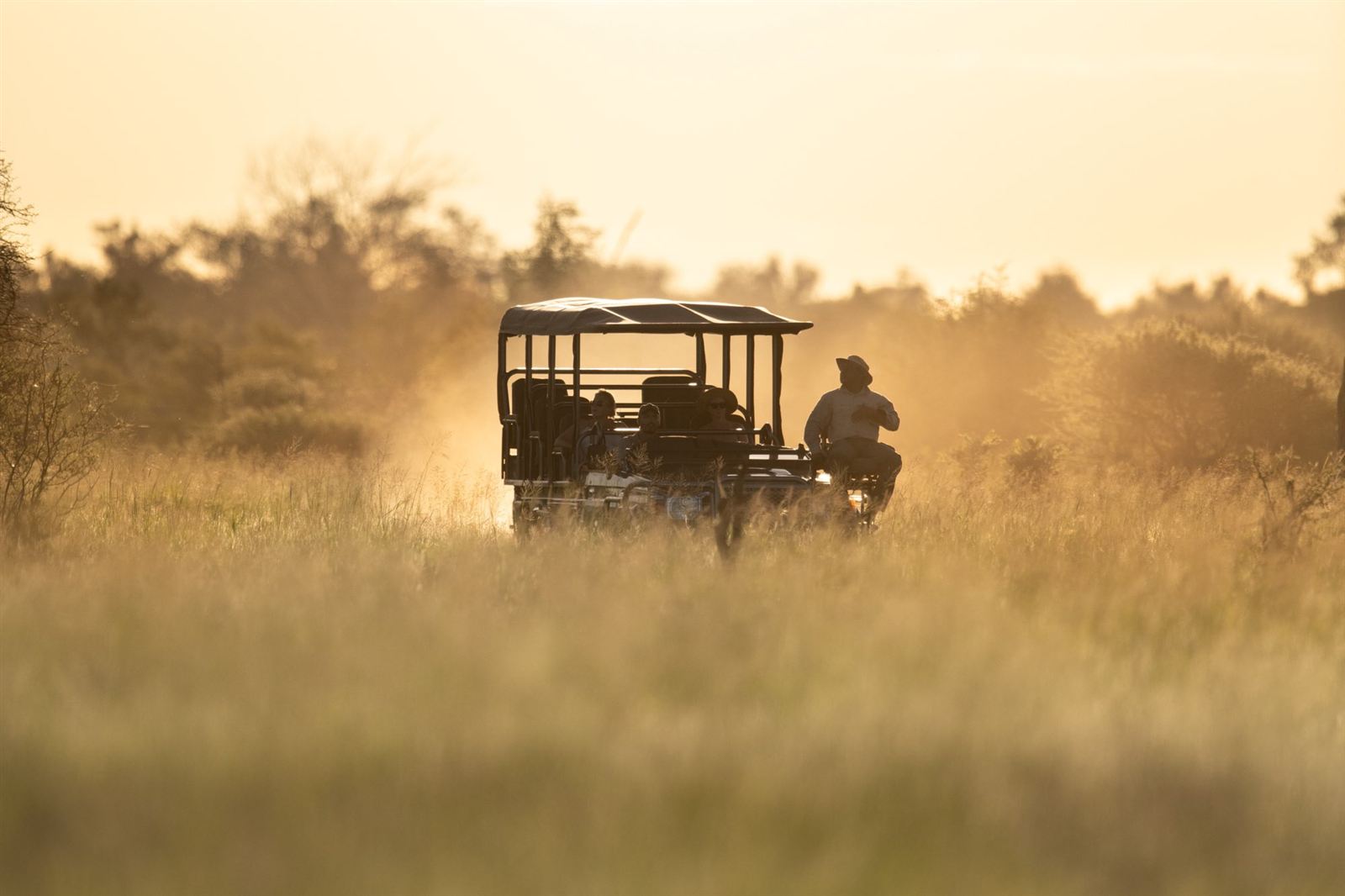 Safari vehicle in golden evening dust