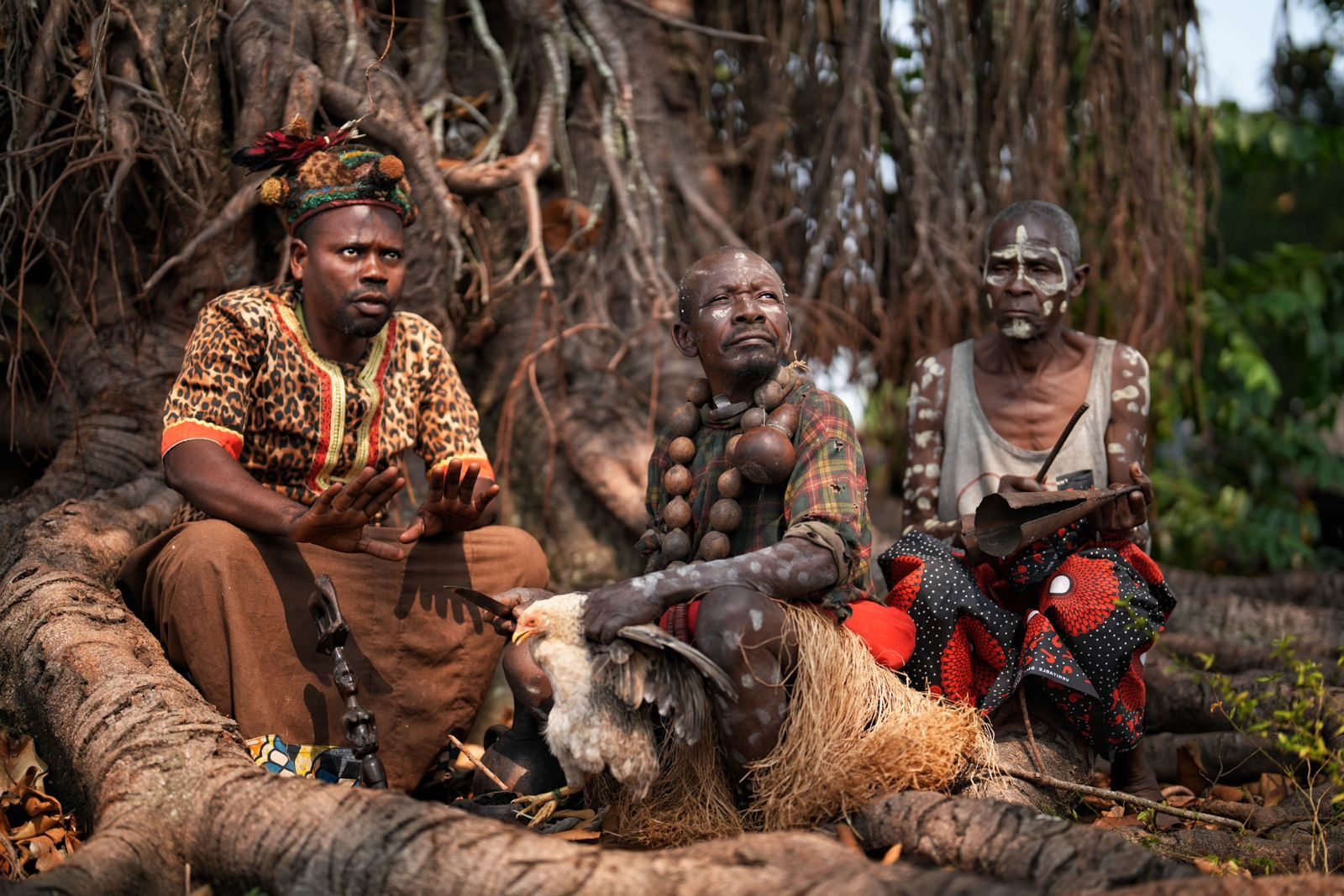 Elders gathered under a large tree