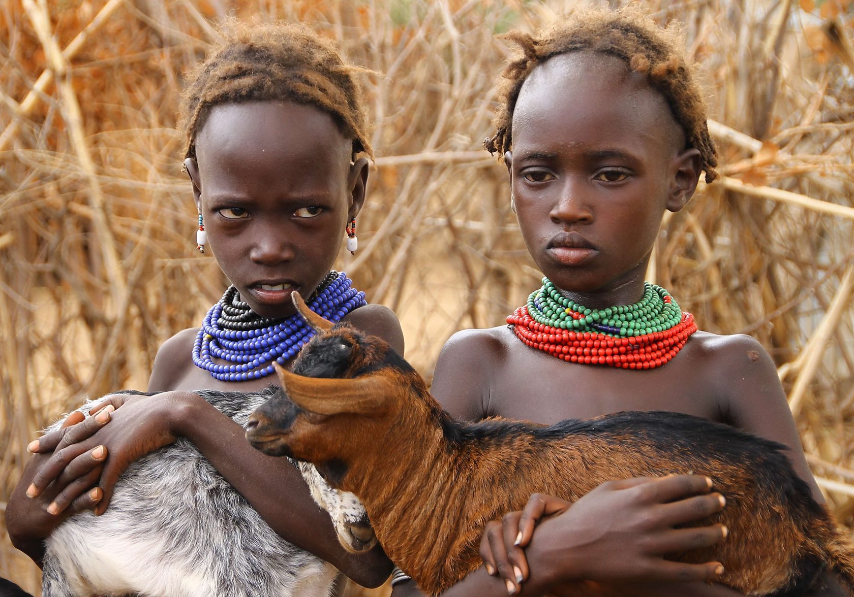 Two children holding a goat