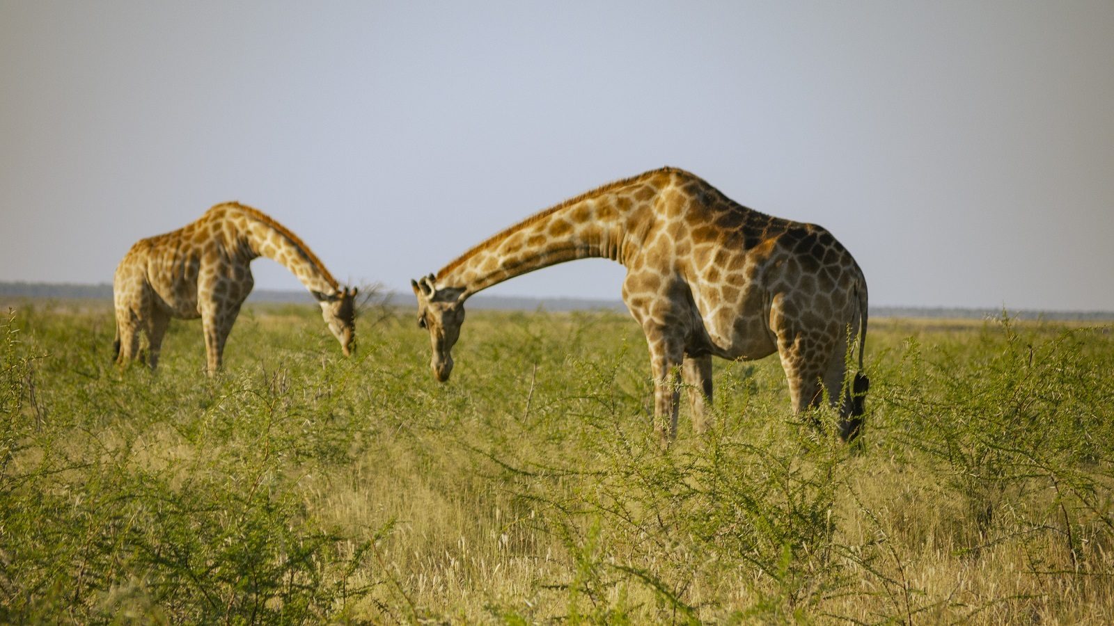 17-Day Namibia Tour – The Most Beautiful Faces of Africa | MCE
