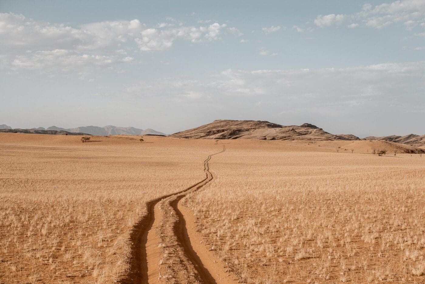 Desert track through the dunes