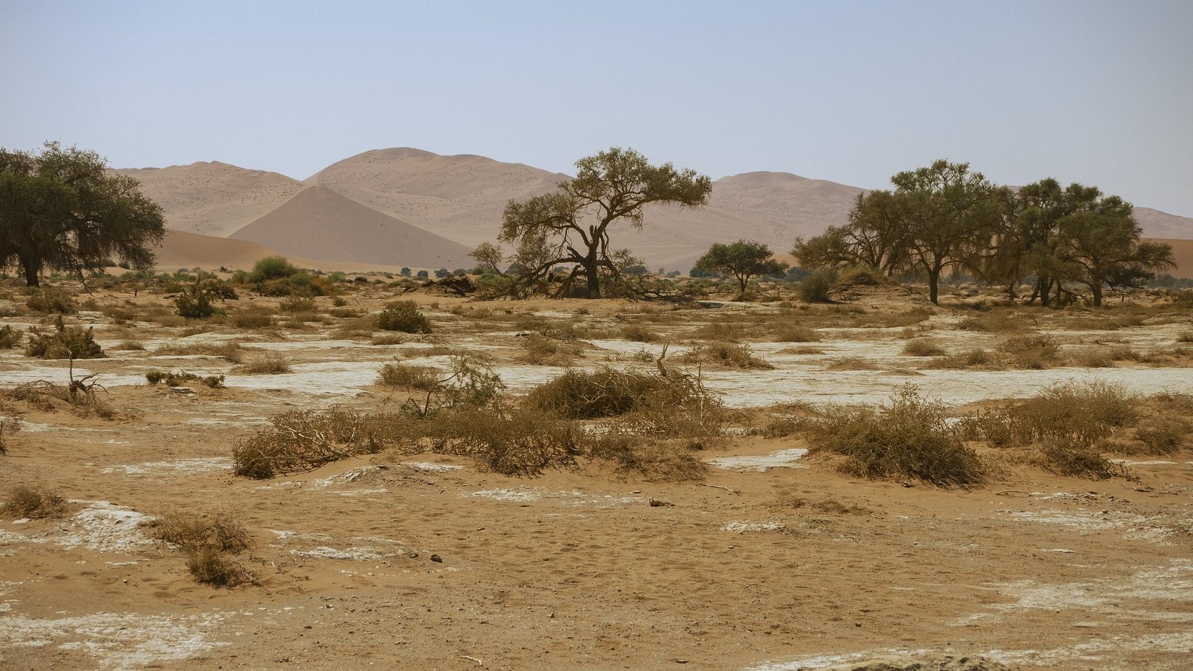 Desert plain with distant dunes