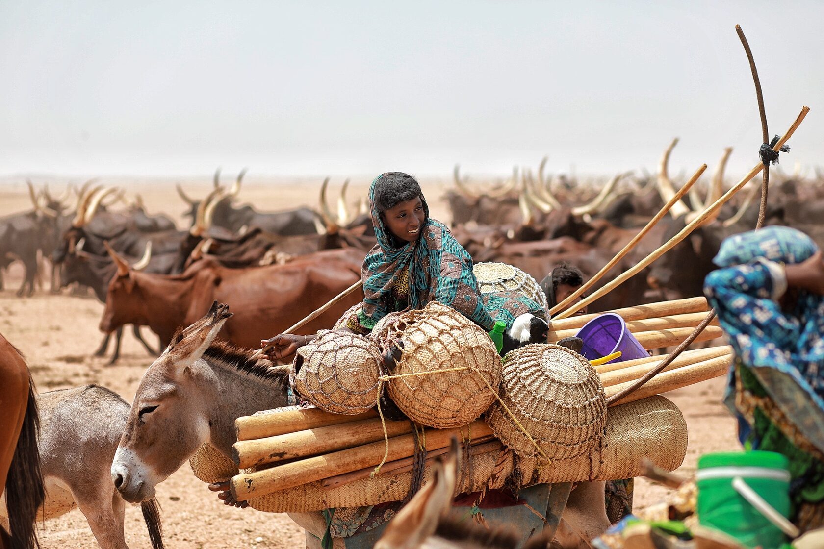 Herders with cattle and baskets