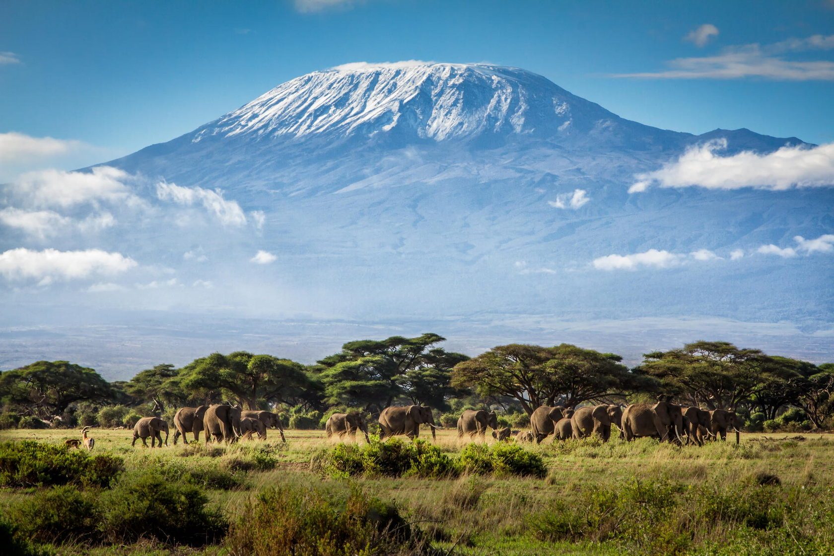 Mount Kilimanjaro above the plains